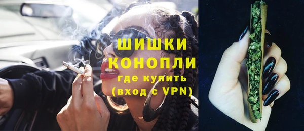 прущие грибы Майский