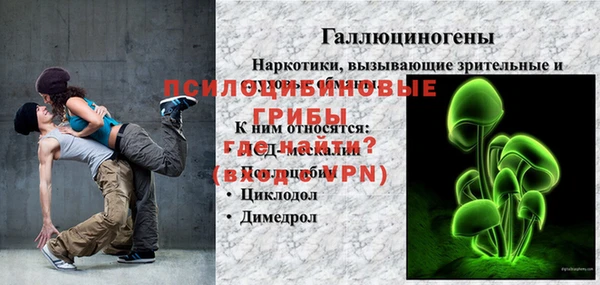 амф Магас