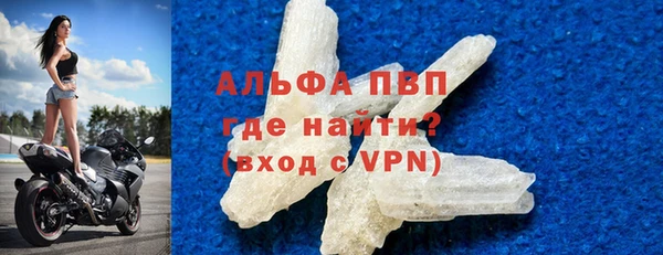 прущие грибы Майский