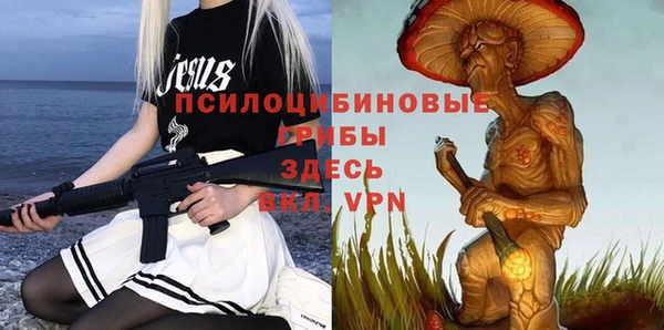 прущие грибы Майский