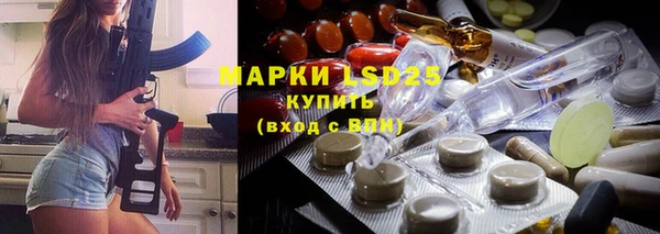 прущие грибы Майский