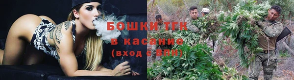 амф Магас