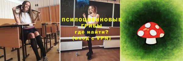 амф Магас