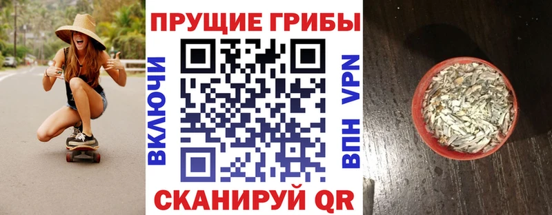 где найти наркотики  Черемхово  Галлюциногенные грибы ЛСД 